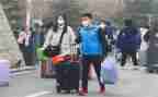 关于离校申请书范文6篇