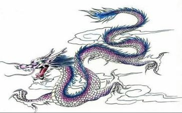 赛龙舟作文600字作文5篇