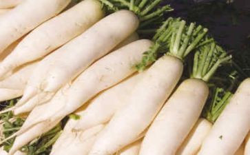 运萝卜体育教案8篇