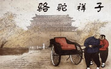 读骆驼驼祥子心得体会7篇