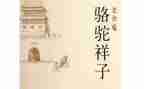 骆驼的读后感400字最新5篇