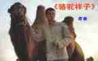 读骆驼驼祥子心得体会通用7篇