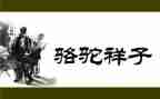 骆驼翔子读后感600字5篇