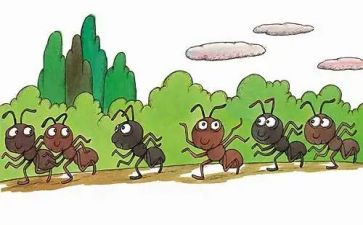 科学课蚂蚁教案7篇