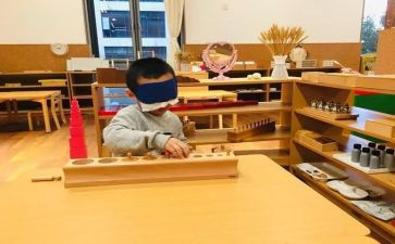 蒙氏幼儿园调查报告模板5篇