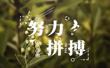 名人优秀事迹7篇