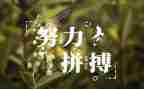 名人优秀事迹7篇
