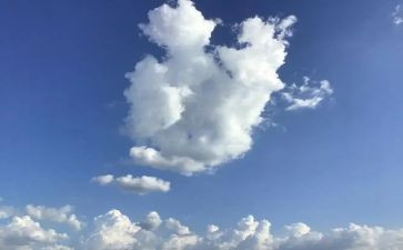 作文明天的我600字模板6篇