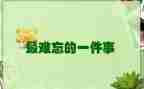 写让我难忘的一件事的作文8篇