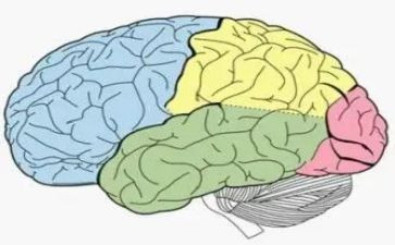 脑外科医生述职报告范文8篇