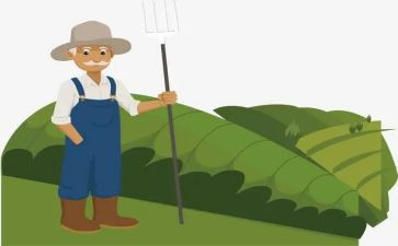 被骗的农夫读后感精选5篇