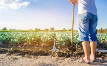 被骗的农夫读后感8篇