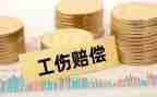 申请赔偿申请书8篇