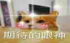 《我期待——》作文6篇