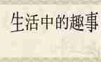 作文暑假趣事500字5篇