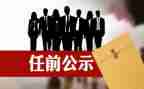 2024年任职工作总结模板5篇
