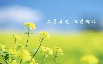 幼儿园三月份的工作总结参考7篇