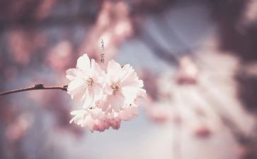 三月份班主任工作总结5篇
