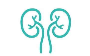 肾内科副主任医师个人总结最新5篇