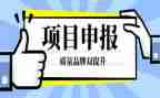 区优秀教师申报事迹材料范文8篇