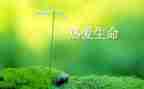 生命的感悟作文通用6篇