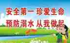 生命活动心得体会8篇