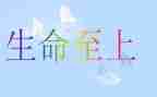 安全至上生命至上心得体会8篇