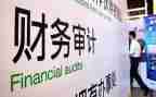 2023审计局个人工作总结报告6篇