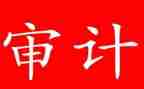 审计的个人述职报告5篇