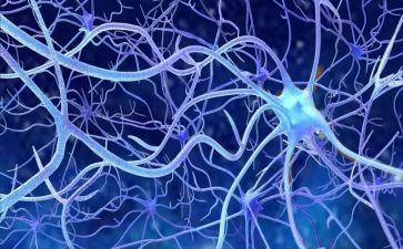 神经外科护士的述职报告范文6篇