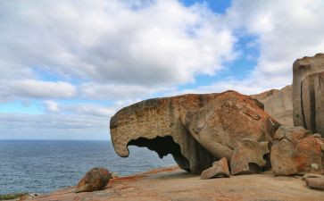 神奇的脑教案6篇