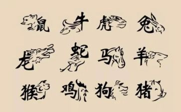 十二生肖教案5篇