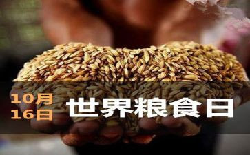 世界粮食日主题活动总结5篇