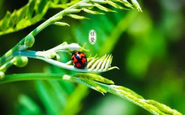 迎十四运活动方案8篇