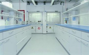 实验教学总结8篇