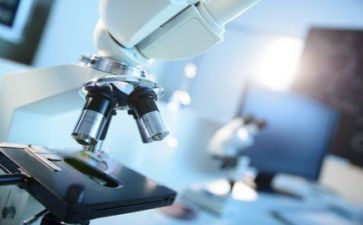 实验教学总结最新5篇