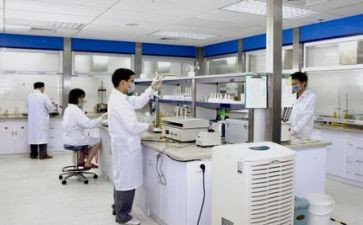 做实验的心得体会最新7篇