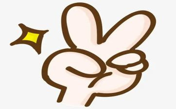 关于我的手的作文参考5篇