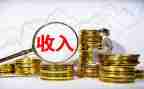 收入调查报告范文5篇