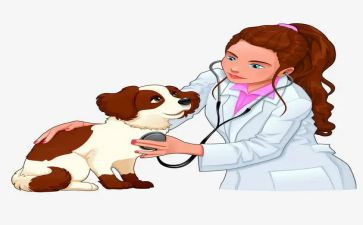 兽医师个人述职报告推荐7篇