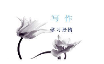 写人抒情的作文7篇