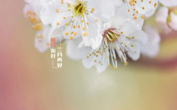 2024年幼儿园中班四月工作计划5篇