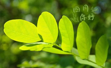 四月的读书心得体会5篇