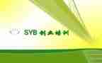 syb创业训心得体会参考8篇
