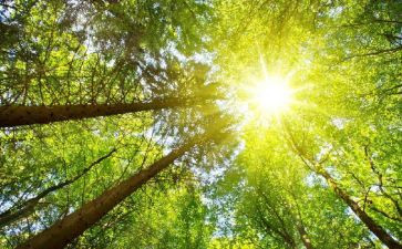 太阳教案参考7篇