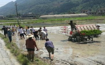 特岗教师期满述职报告6篇