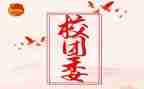 分团委工作总结和计划8篇