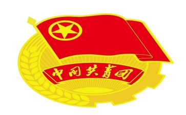 团支部书记年度述职报告8篇
