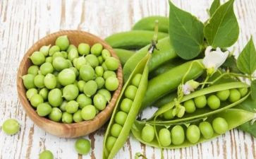 豌豆上公主读后感5篇