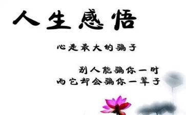 微感悟作文最新5篇